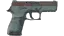 P250 | Copper Oxide (Battle-Scarred) thumbnail
