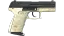 P2000 | Ivory (Field-Tested) thumbnail