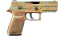 P250 | Verdigris (Factory New) thumbnail