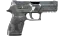 P250 | Metallic DDPAT (Factory New) thumbnail