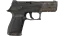 P250 | Bullfrog (Well-Worn) thumbnail
