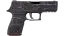 P250 | Facility Draft (Field-Tested) thumbnail