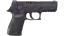 P250 | Plum Netting (Battle-Scarred) thumbnail