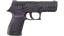 P250 | Plum Netting (Battle-Scarred) thumbnail