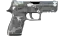 P250 | Metallic DDPAT (Factory New) thumbnail