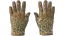 ★ Driver Gloves | Queen Jaguar (Field-Tested) thumbnail