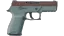 P250 | Copper Oxide (Field-Tested) thumbnail