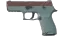 P250 | Copper Oxide (Field-Tested) thumbnail