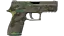 P250 | Boreal Forest (Field-Tested) thumbnail