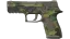 P250 | Boreal Forest (Field-Tested) thumbnail