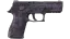 P250 | Plum Netting (Field-Tested) thumbnail