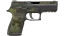 P250 | Boreal Forest (Battle-Scarred) thumbnail