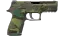 P250 | Boreal Forest (Field-Tested) thumbnail