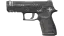 P250 | Re.built (Battle-Scarred) 缩略图