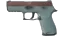 P250 | Copper Oxide (Field-Tested) 缩略图