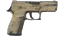 P250 | Sand Dune (Battle-Scarred) thumbnail