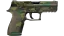 P250 | Boreal Forest (Field-Tested) thumbnail