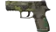 P250 | Boreal Forest (Field-Tested) thumbnail