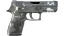 P250 | Metallic DDPAT (Factory New) 缩略图