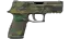P250 | Boreal Forest (Well-Worn) thumbnail