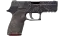 P250 | Facility Draft (Field-Tested) 缩略图