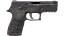 Miniatura de P250 | Facility Draft (Well-Worn)