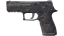 Miniatura de P250 | Facility Draft (Well-Worn)