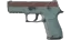 P250 | Copper Oxide (Field-Tested) 缩略图