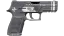 P250 | Re.built (Field-Tested) 缩略图
