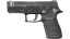 P250 | Re.built (Battle-Scarred) 缩略图