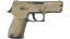 Miniatura de P250 | Sand Dune (Battle-Scarred)