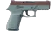 P250 | Copper Oxide (Factory New) thumbnail
