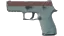 P250 | Copper Oxide (Field-Tested) thumbnail