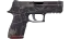 P250 | Facility Draft (Minimal Wear) thumbnail