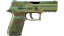 P250 | Verdigris (Battle-Scarred) thumbnail