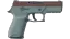 P250 | Copper Oxide (Field-Tested) thumbnail