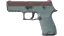 P250 | Copper Oxide (Field-Tested) thumbnail
