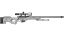 AWP | The End (Well-Worn) thumbnail