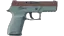 P250 | Copper Oxide (Field-Tested) thumbnail