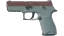 P250 | Copper Oxide (Field-Tested) thumbnail