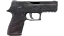 P250 | Facility Draft (Battle-Scarred) thumbnail