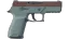 P250 | Copper Oxide (Field-Tested) thumbnail