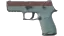 P250 | Copper Oxide (Field-Tested) thumbnail