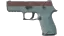 P250 | Copper Oxide (Field-Tested) thumbnail