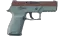 P250 | Copper Oxide (Field-Tested) thumbnail