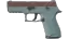 P250 | Copper Oxide (Field-Tested) thumbnail