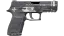 Miniatura de P250 | Re.built (Well-Worn)