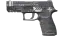Miniatura de P250 | Re.built (Well-Worn)