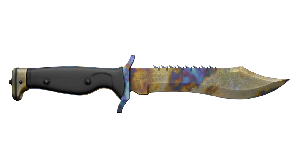 ★ Bowie Knife | Case Hardened (Well-Worn) thumbnail