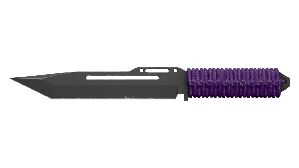 ★ StatTrak™ Paracord Knife | Ultraviolet (Field-Tested)